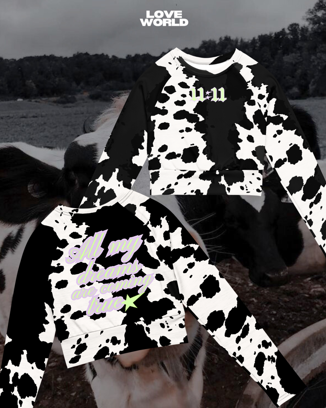 Moo dreams top